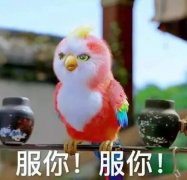 该当是一集中的小低潮